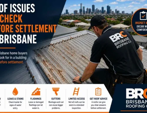 Roof Issues to Check Before Settlement in Brisbane
